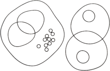 O-Ring-Kit_Zylinderkopf_Coolhead_Noss_ProDesign
